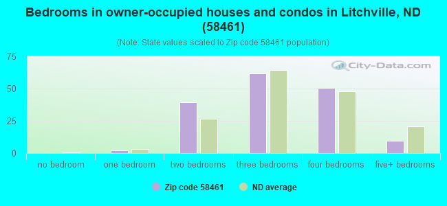 Bedrooms in owner-occupied houses and condos in Litchville, ND (58461) 