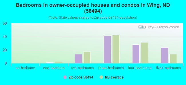 Bedrooms in owner-occupied houses and condos in Wing, ND (58494) 