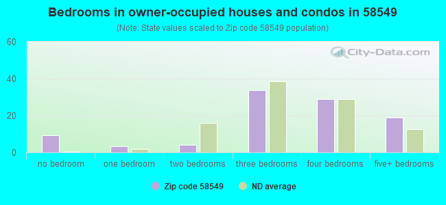 Bedrooms in owner-occupied houses and condos in 58549 