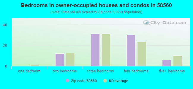 Bedrooms in owner-occupied houses and condos in 58560 