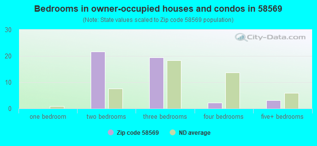 Bedrooms in owner-occupied houses and condos in 58569 