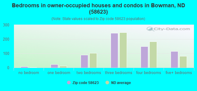 Bedrooms in owner-occupied houses and condos in Bowman, ND (58623) 