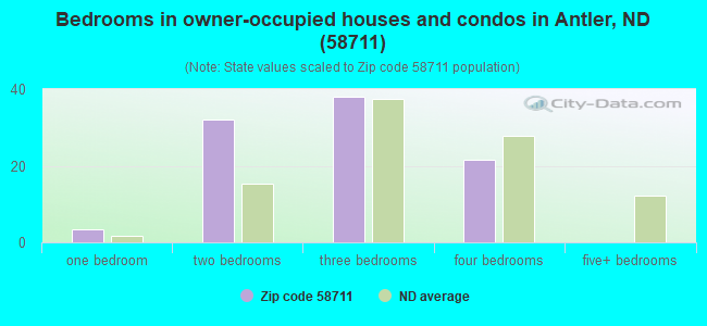 Bedrooms in owner-occupied houses and condos in Antler, ND (58711) 