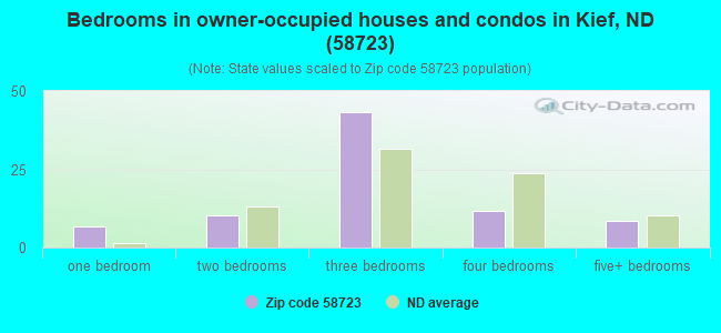 Bedrooms in owner-occupied houses and condos in Kief, ND (58723) 