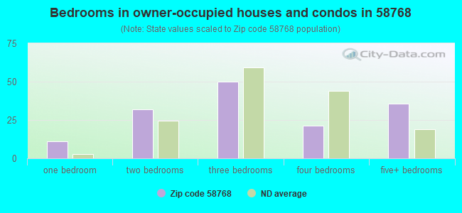 Bedrooms in owner-occupied houses and condos in 58768 