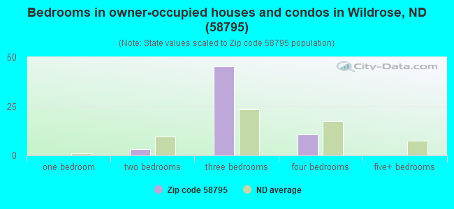 Bedrooms in owner-occupied houses and condos in Wildrose, ND (58795) 