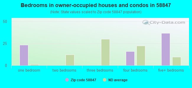 Bedrooms in owner-occupied houses and condos in 58847 