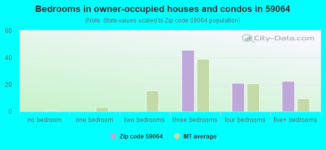 Bedrooms in owner-occupied houses and condos in 59064 