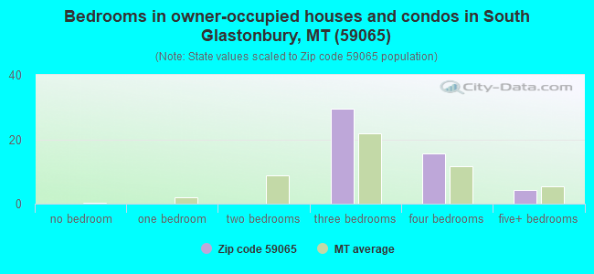 Bedrooms in owner-occupied houses and condos in South Glastonbury, MT (59065) 