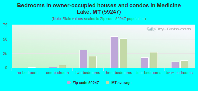 Bedrooms in owner-occupied houses and condos in Medicine Lake, MT (59247) 