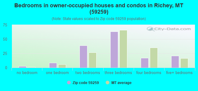 Bedrooms in owner-occupied houses and condos in Richey, MT (59259) 