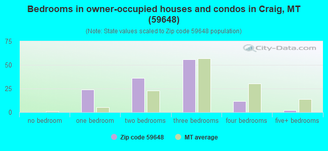 Bedrooms in owner-occupied houses and condos in Craig, MT (59648) 