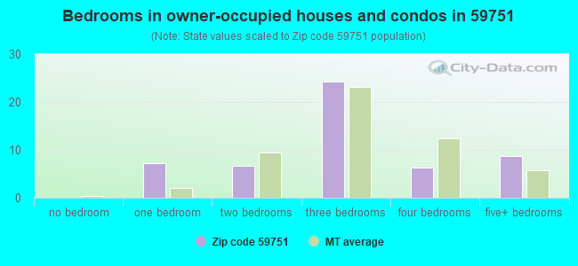 Bedrooms in owner-occupied houses and condos in 59751 