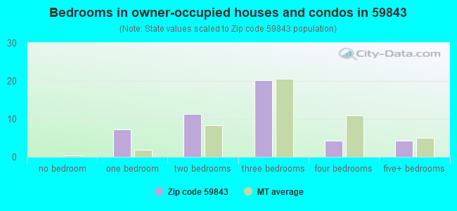 Bedrooms in owner-occupied houses and condos in 59843 