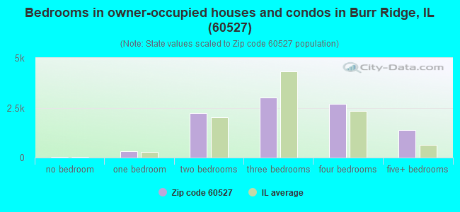 Bedrooms in owner-occupied houses and condos in Burr Ridge, IL (60527) 