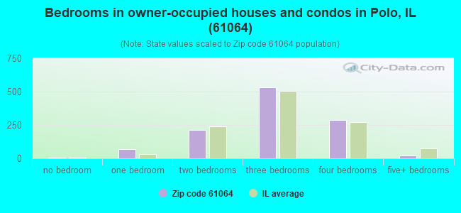 Bedrooms in owner-occupied houses and condos in Polo, IL (61064) 