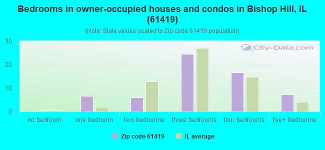 Bedrooms in owner-occupied houses and condos in Bishop Hill, IL (61419) 