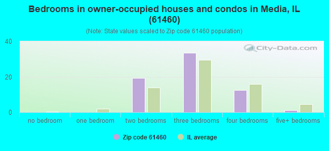 Bedrooms in owner-occupied houses and condos in Media, IL (61460) 