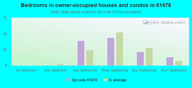 Bedrooms in owner-occupied houses and condos in 61478 