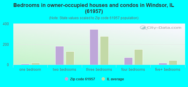 Bedrooms in owner-occupied houses and condos in Windsor, IL (61957) 