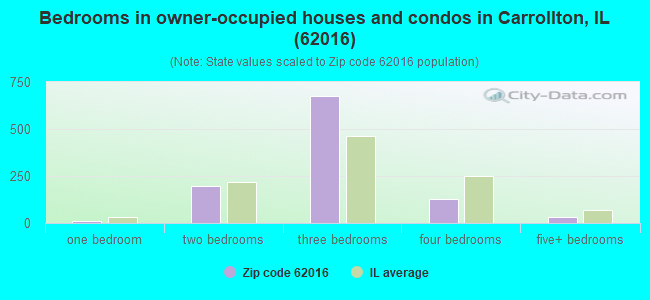 Bedrooms in owner-occupied houses and condos in Carrollton, IL (62016) 