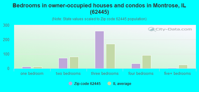 Bedrooms in owner-occupied houses and condos in Montrose, IL (62445) 