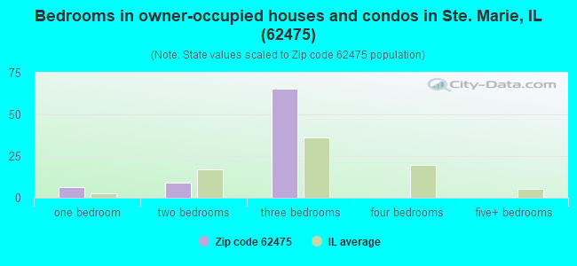 Bedrooms in owner-occupied houses and condos in Ste. Marie, IL (62475) 