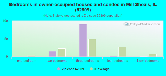 Bedrooms in owner-occupied houses and condos in Mill Shoals, IL (62809) 