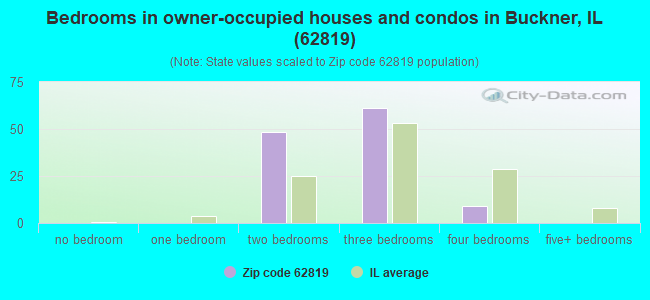 Bedrooms in owner-occupied houses and condos in Buckner, IL (62819) 