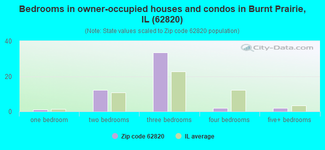 Bedrooms in owner-occupied houses and condos in Burnt Prairie, IL (62820) 