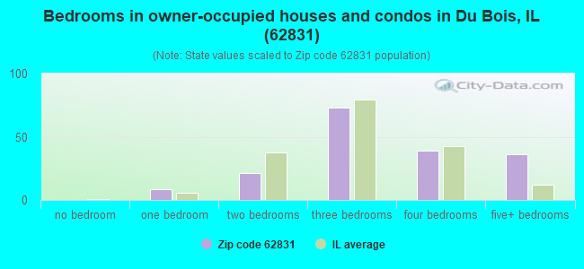 Bedrooms in owner-occupied houses and condos in Du Bois, IL (62831) 