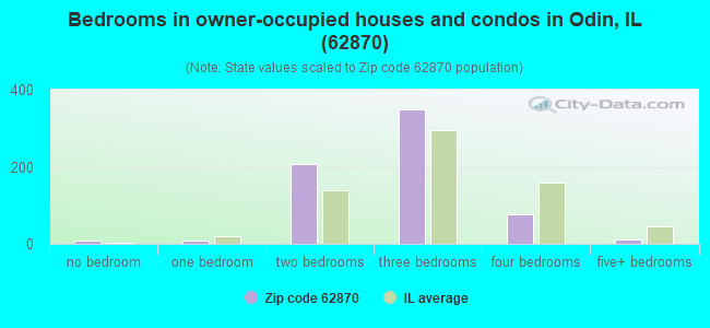 Bedrooms in owner-occupied houses and condos in Odin, IL (62870) 