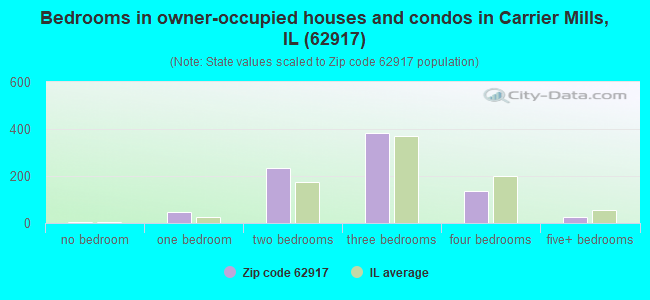 Bedrooms in owner-occupied houses and condos in Carrier Mills, IL (62917) 
