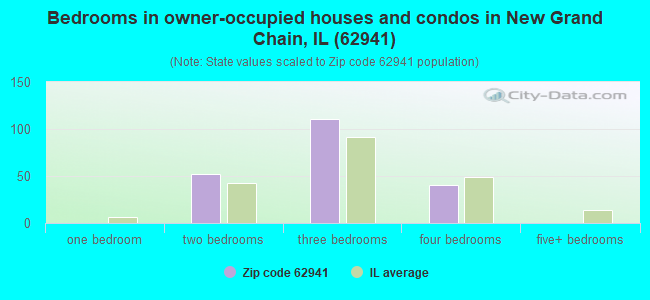 Bedrooms in owner-occupied houses and condos in New Grand Chain, IL (62941) 