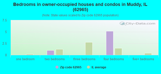 Bedrooms in owner-occupied houses and condos in Muddy, IL (62965) 