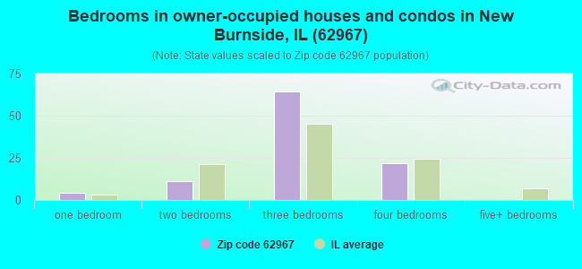 Bedrooms in owner-occupied houses and condos in New Burnside, IL (62967) 