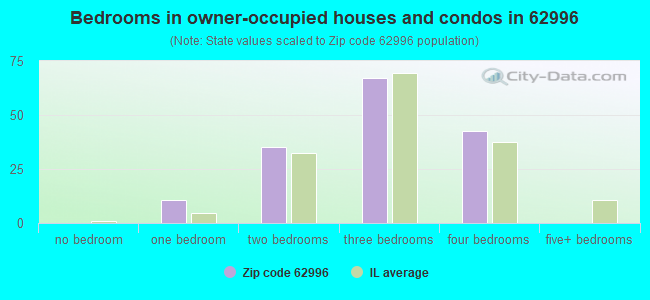 Bedrooms in owner-occupied houses and condos in 62996 