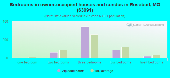 Bedrooms in owner-occupied houses and condos in Rosebud, MO (63091) 