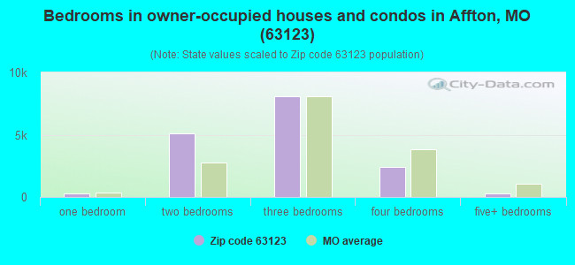 Bedrooms in owner-occupied houses and condos in Affton, MO (63123) 