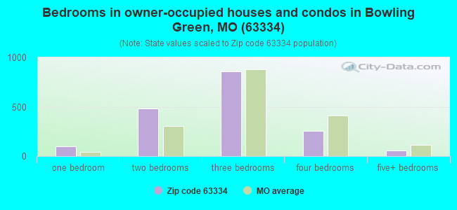 Bedrooms in owner-occupied houses and condos in Bowling Green, MO (63334) 