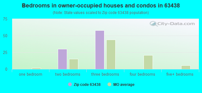 Bedrooms in owner-occupied houses and condos in 63438 