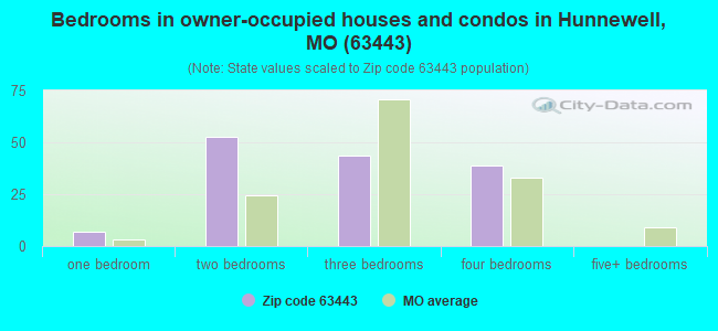 Bedrooms in owner-occupied houses and condos in Hunnewell, MO (63443) 