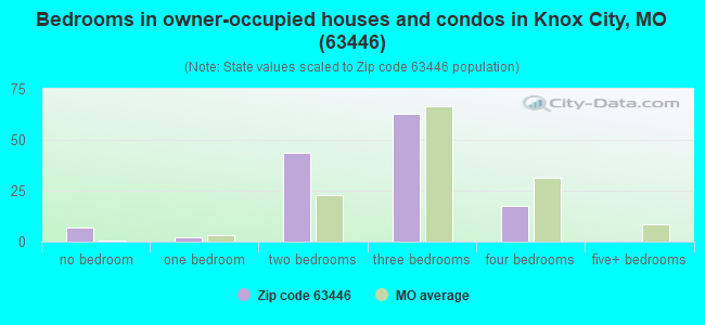 Bedrooms in owner-occupied houses and condos in Knox City, MO (63446) 