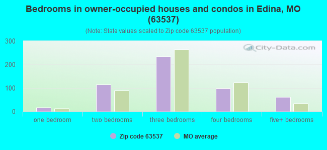 Bedrooms in owner-occupied houses and condos in Edina, MO (63537) 