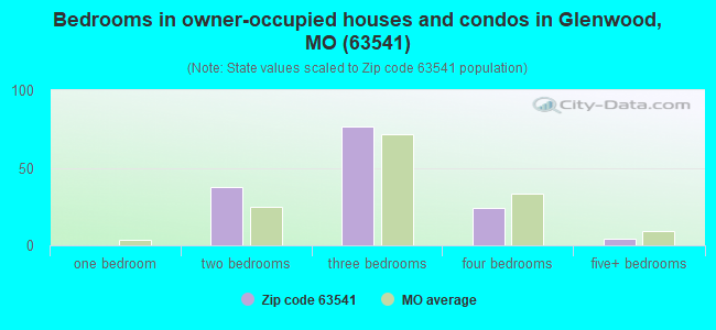 Bedrooms in owner-occupied houses and condos in Glenwood, MO (63541) 