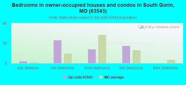 Bedrooms in owner-occupied houses and condos in South Gorin, MO (63543) 