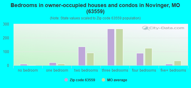 Bedrooms in owner-occupied houses and condos in Novinger, MO (63559) 