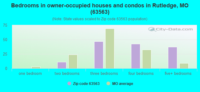 Bedrooms in owner-occupied houses and condos in Rutledge, MO (63563) 
