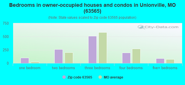 Bedrooms in owner-occupied houses and condos in Unionville, MO (63565) 