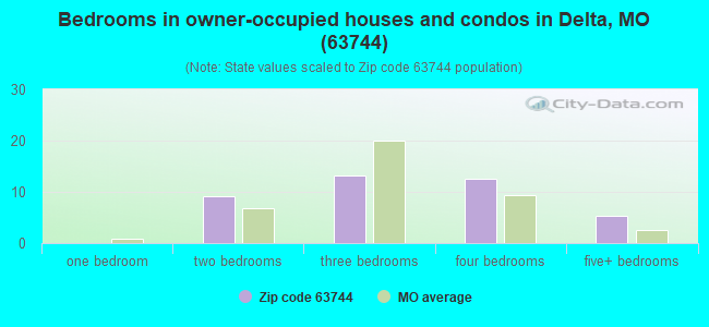 Bedrooms in owner-occupied houses and condos in Delta, MO (63744) 